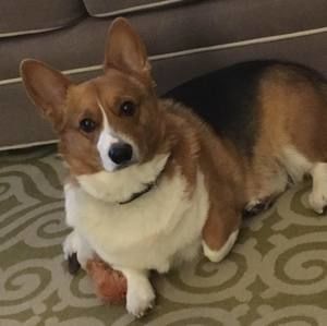 Meet your Posher, Wanda